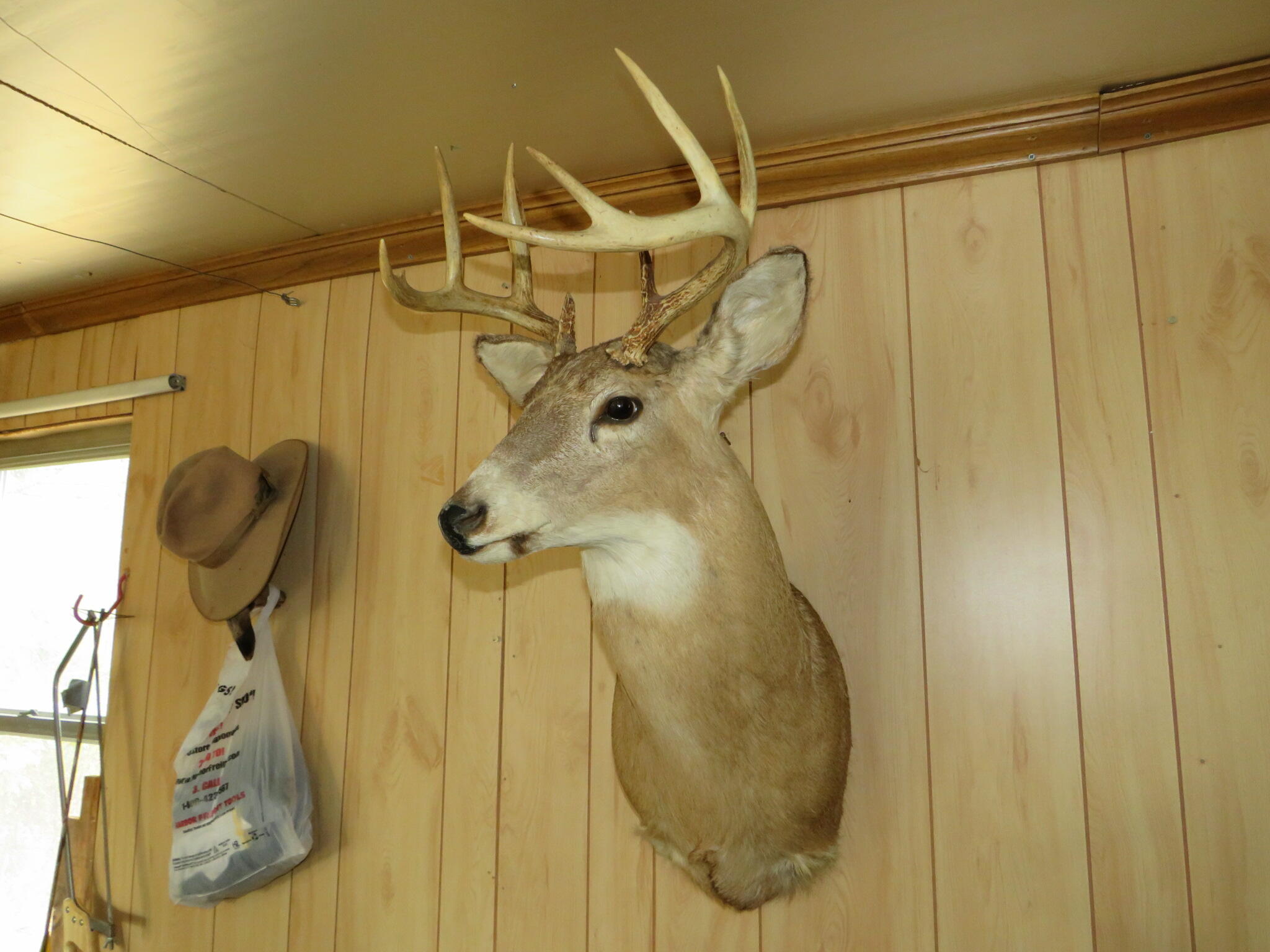 17 17 Mile Road Marion, MI 49665 - Photo 18 of 45 IMG_0472
