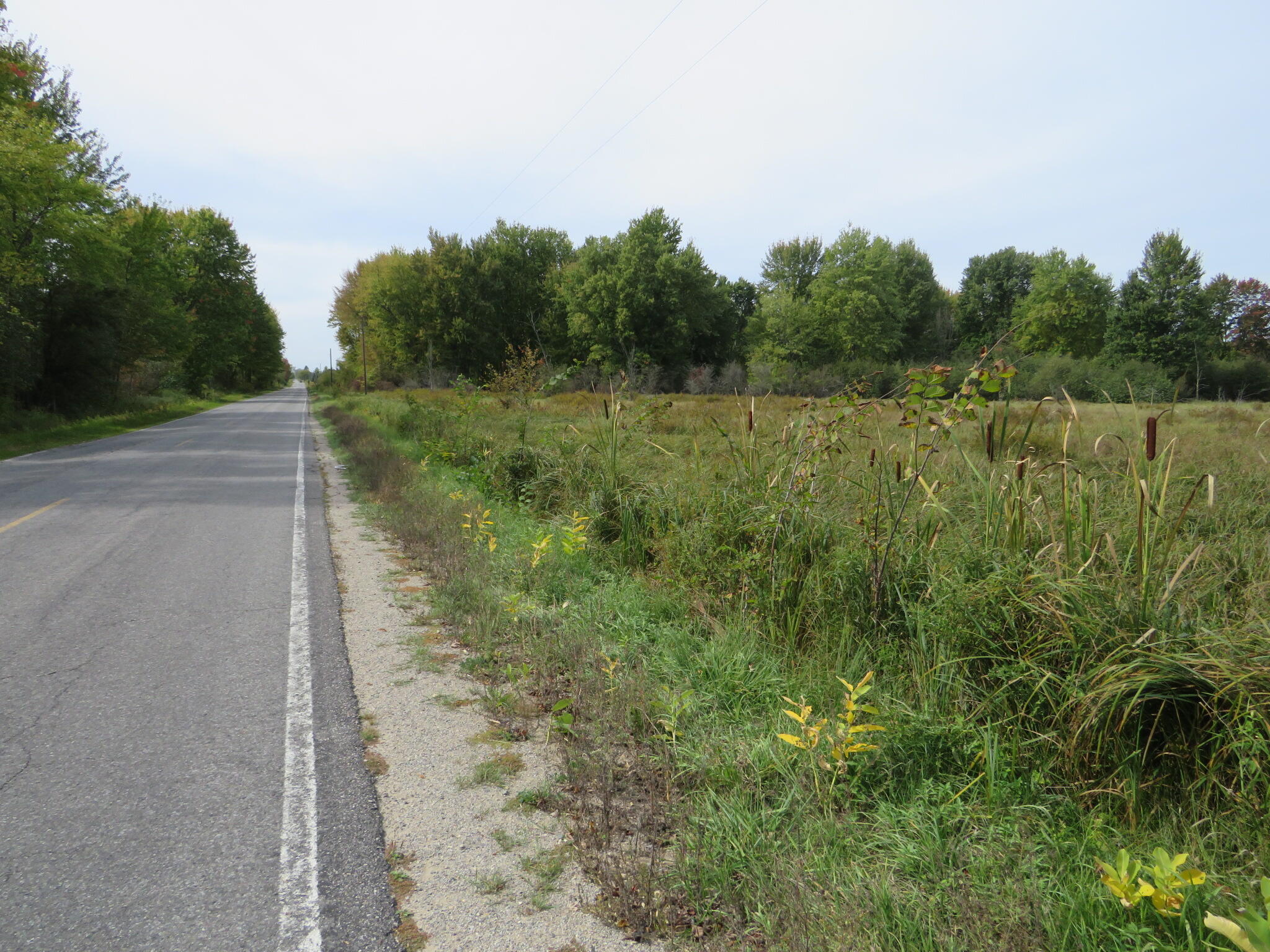 17 17 Mile Road Marion, MI 49665 - Photo 2 of 45 IMG_0437
