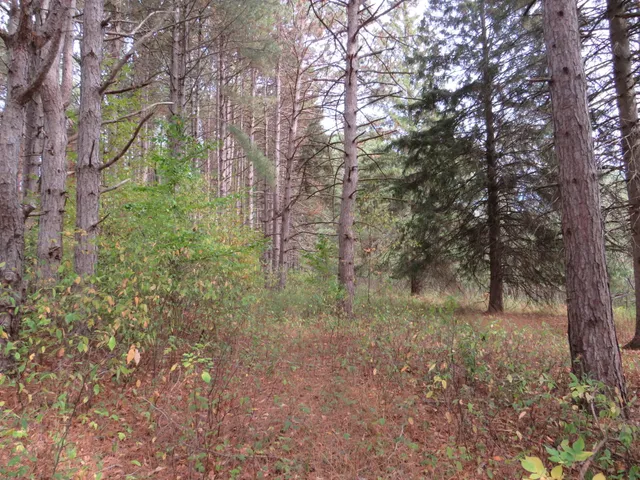 $185,000 | 17 17 Mile Road, Marion, MI 49665