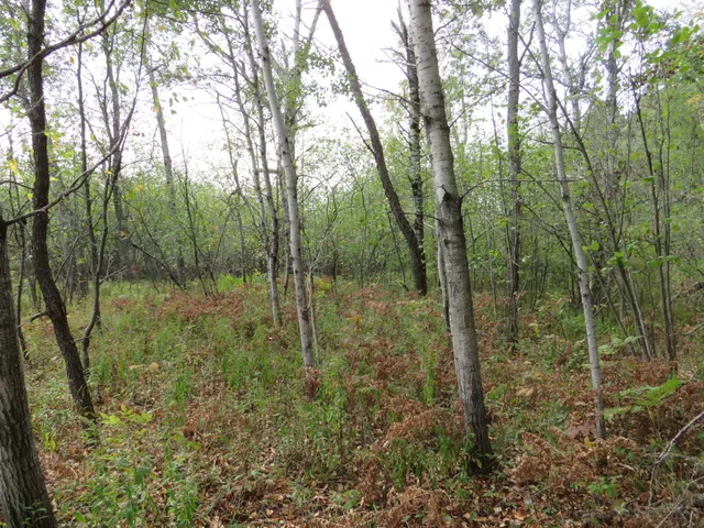 $185,000 | 17 17 Mile Road, Marion, MI 49665