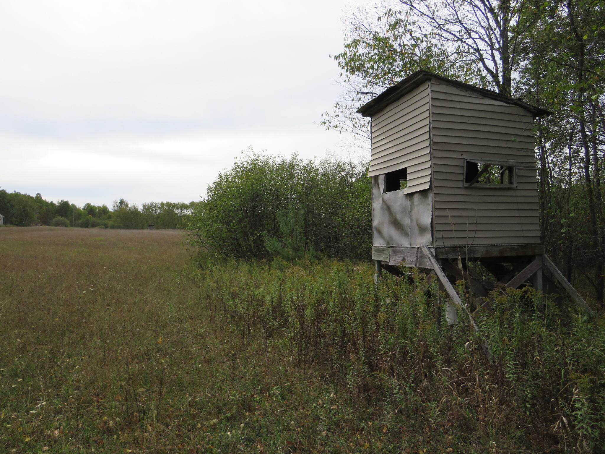 17 17 Mile Road Marion, MI 49665 - Photo 24 of 45 IMG_0490
