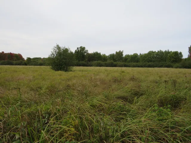 $185,000 | 17 17 Mile Road, Marion, MI 49665