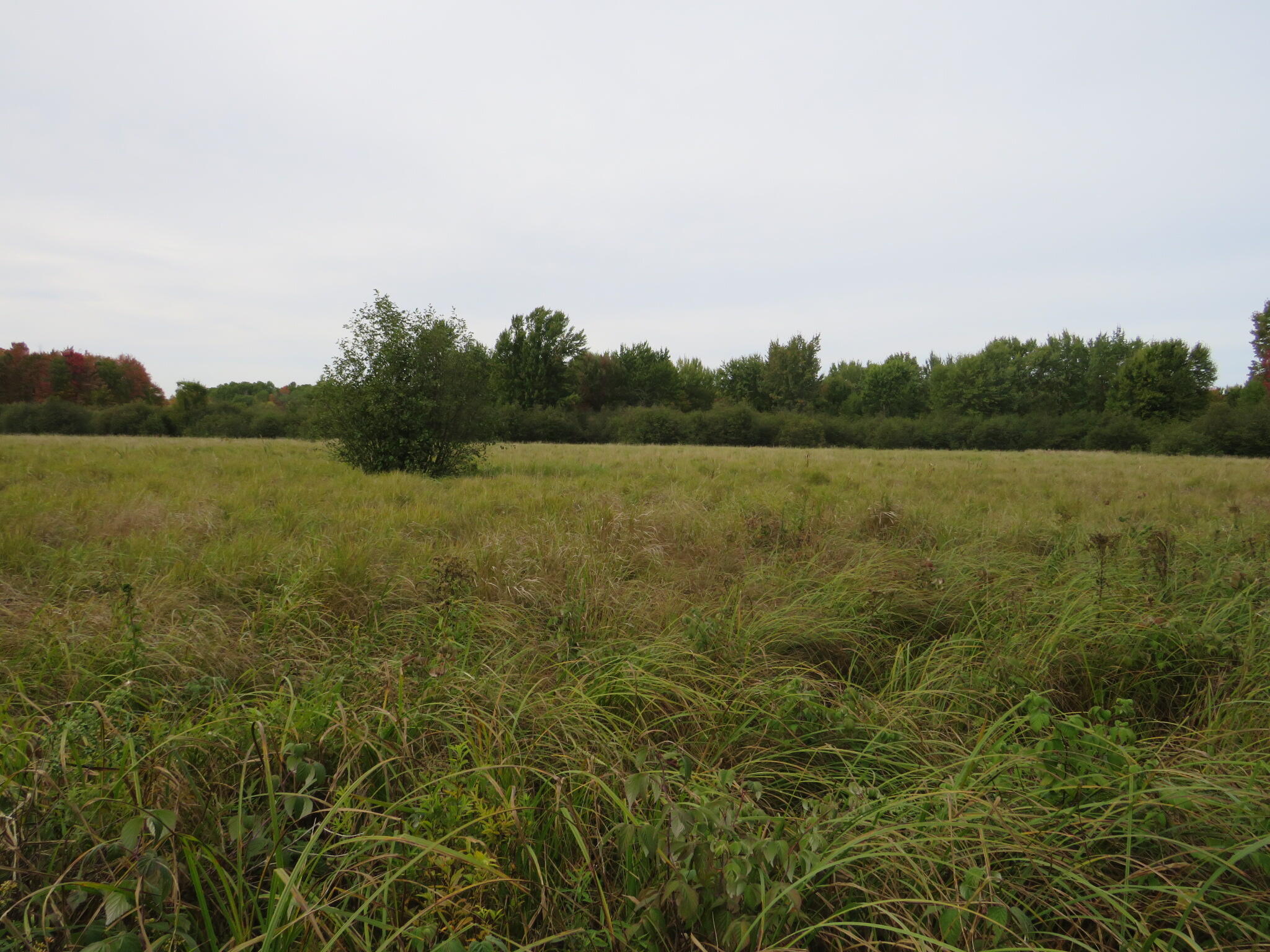 17 17 Mile Road Marion, MI 49665 - Photo 25 of 45 IMG_0494