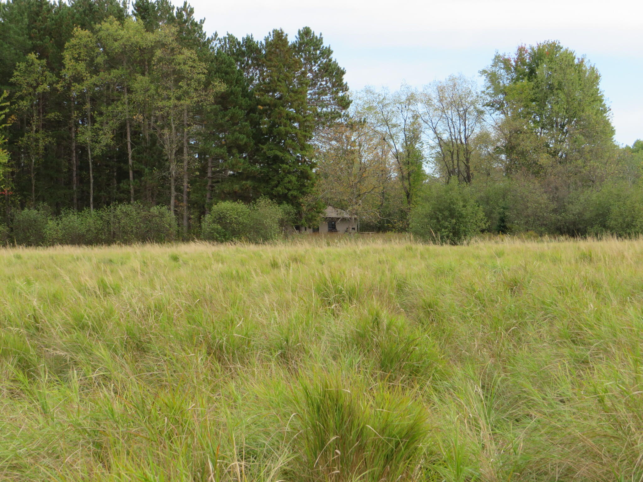 17 17 Mile Road Marion, MI 49665 - Photo 26 of 45 IMG_0496