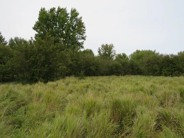 $185,000 | 17 17 Mile Road, Marion, MI 49665