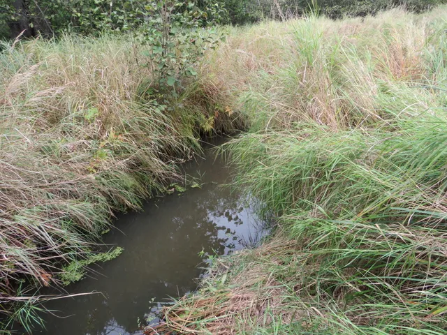 $185,000 | 17 17 Mile Road, Marion, MI 49665