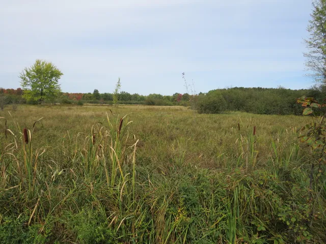 $185,000 | 17 17 Mile Road, Marion, MI 49665