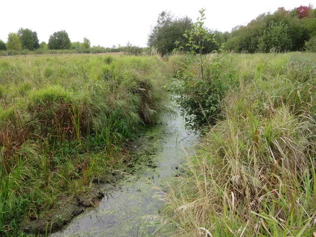 $185,000 | 17 17 Mile Road, Marion, MI 49665