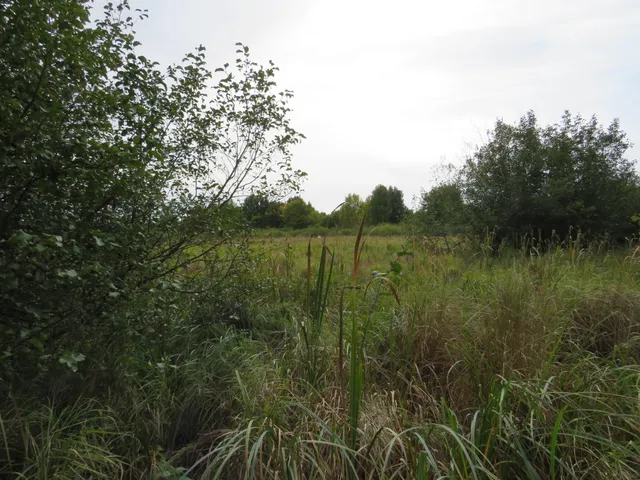 $185,000 | 17 17 Mile Road, Marion, MI 49665