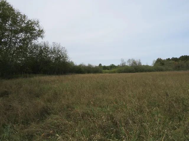 $185,000 | 17 17 Mile Road, Marion, MI 49665