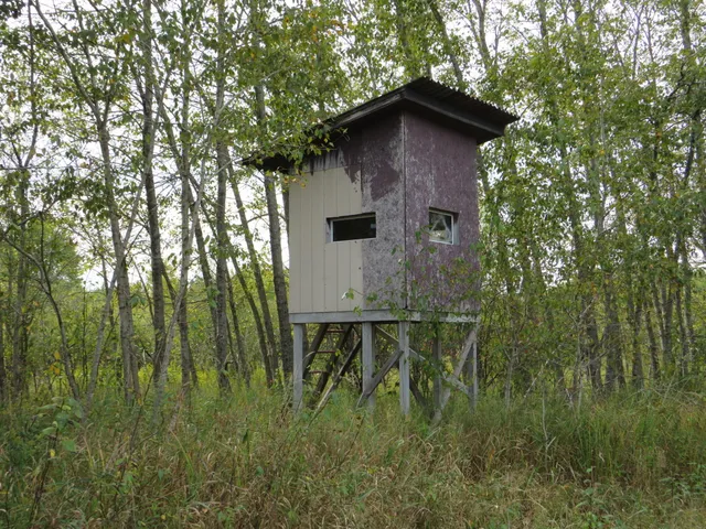 $185,000 | 17 17 Mile Road, Marion, MI 49665