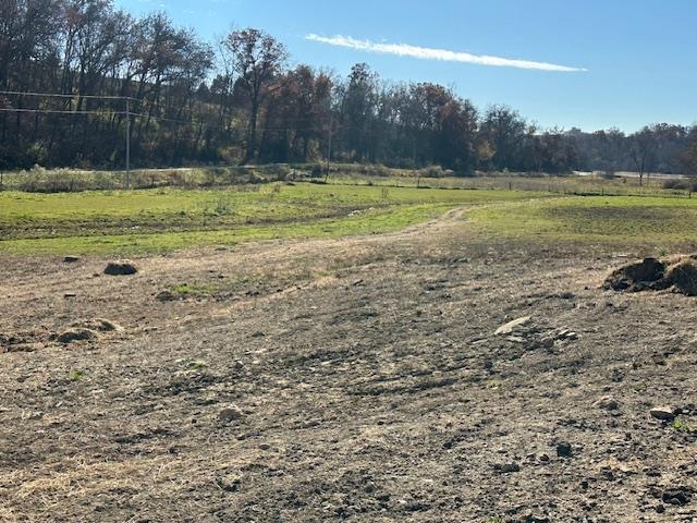 1906 Squirrel Hill Road Hollandale, WI 53544 - Photo 22 of 87