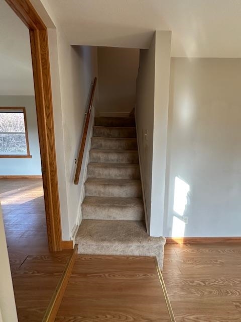 1906 Squirrel Hill Road Hollandale, WI 53544 - Photo 49 of 87