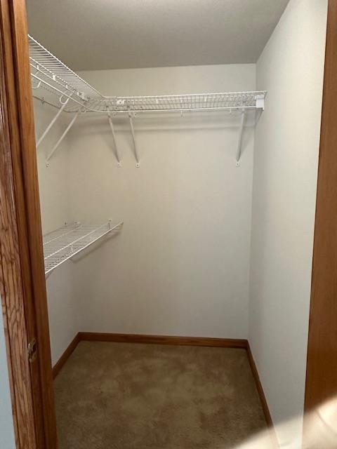 1906 Squirrel Hill Road Hollandale, WI 53544 - Photo 62 of 87