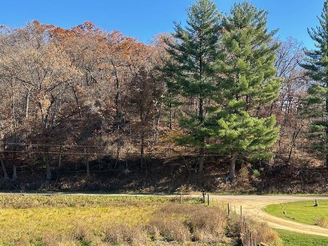 1906 Squirrel Hill Road Hollandale, WI 53544 - Photo 63 of 87