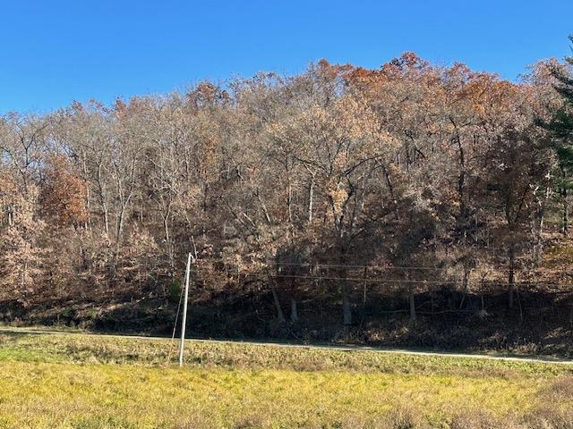 1906 Squirrel Hill Road Hollandale, WI 53544 - Photo 64 of 87