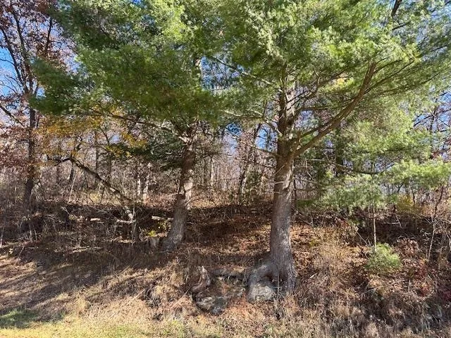 $850,000 | 1906 Squirrel Hill Road, Hollandale, WI 53544