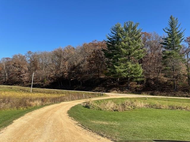 1906 Squirrel Hill Road Hollandale, WI 53544 - Photo 8 of 87