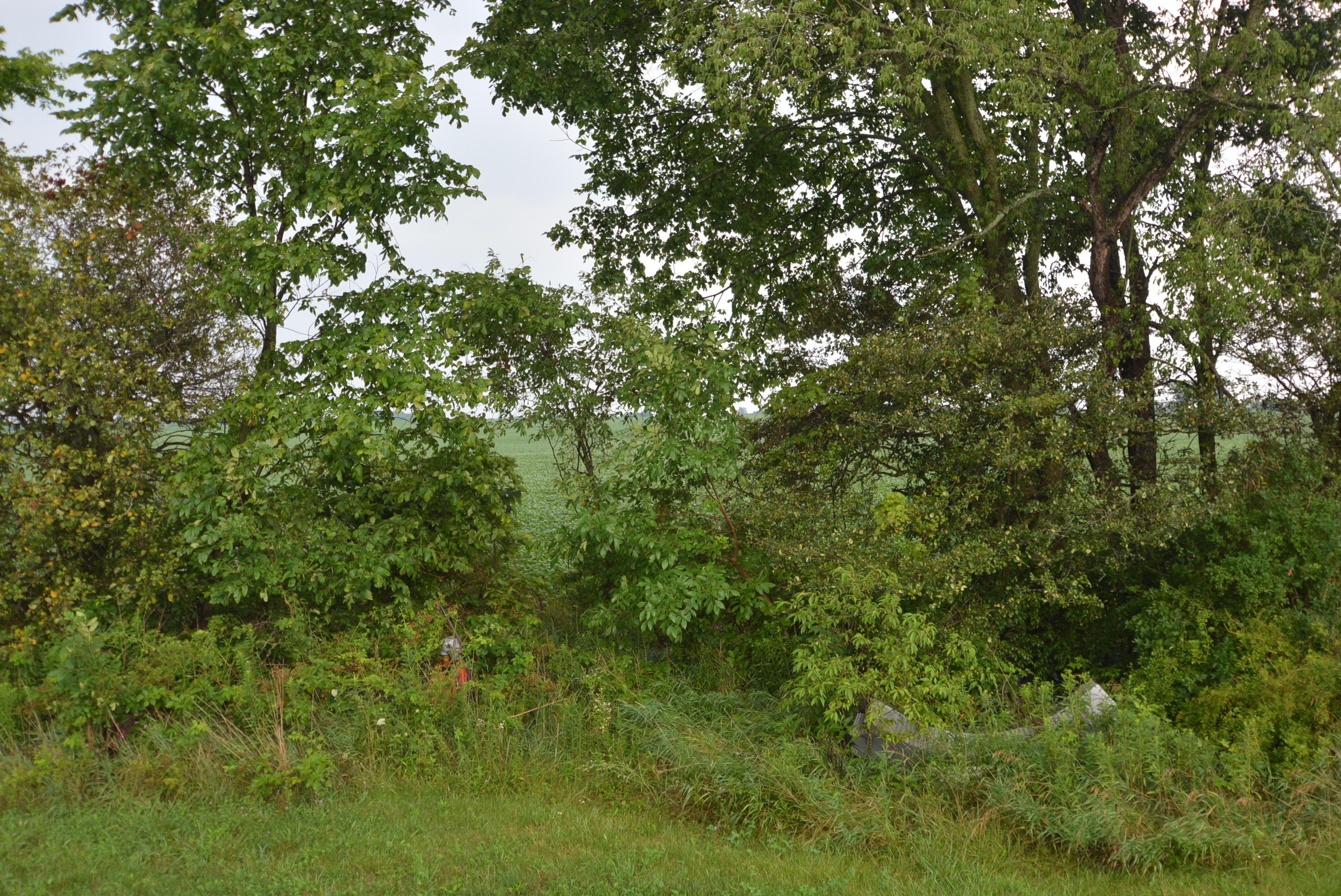 8230 Hinton Mill Road Ostrander, OH 43061 - Photo 28 of 30 Gallery Image 28