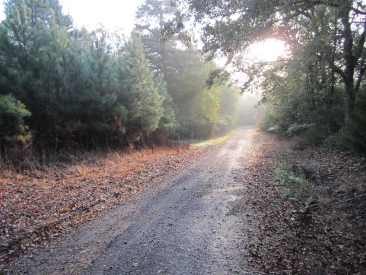 45 M T D Road Nettleton, MS 38858 - Photo 2 of 16 Photo 2