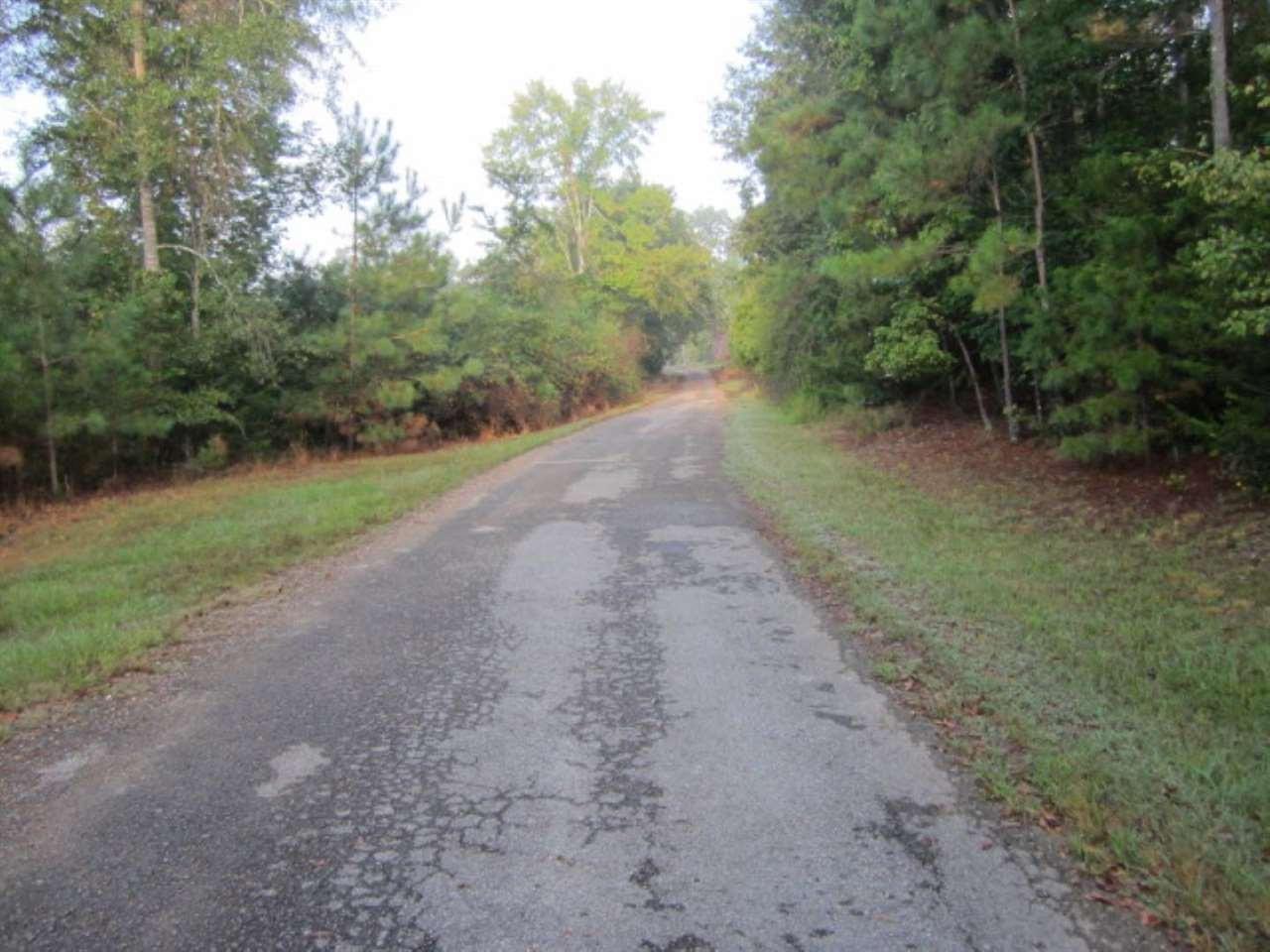45 M T D Road Nettleton, MS 38858 - Photo 3 of 16 Photo 3