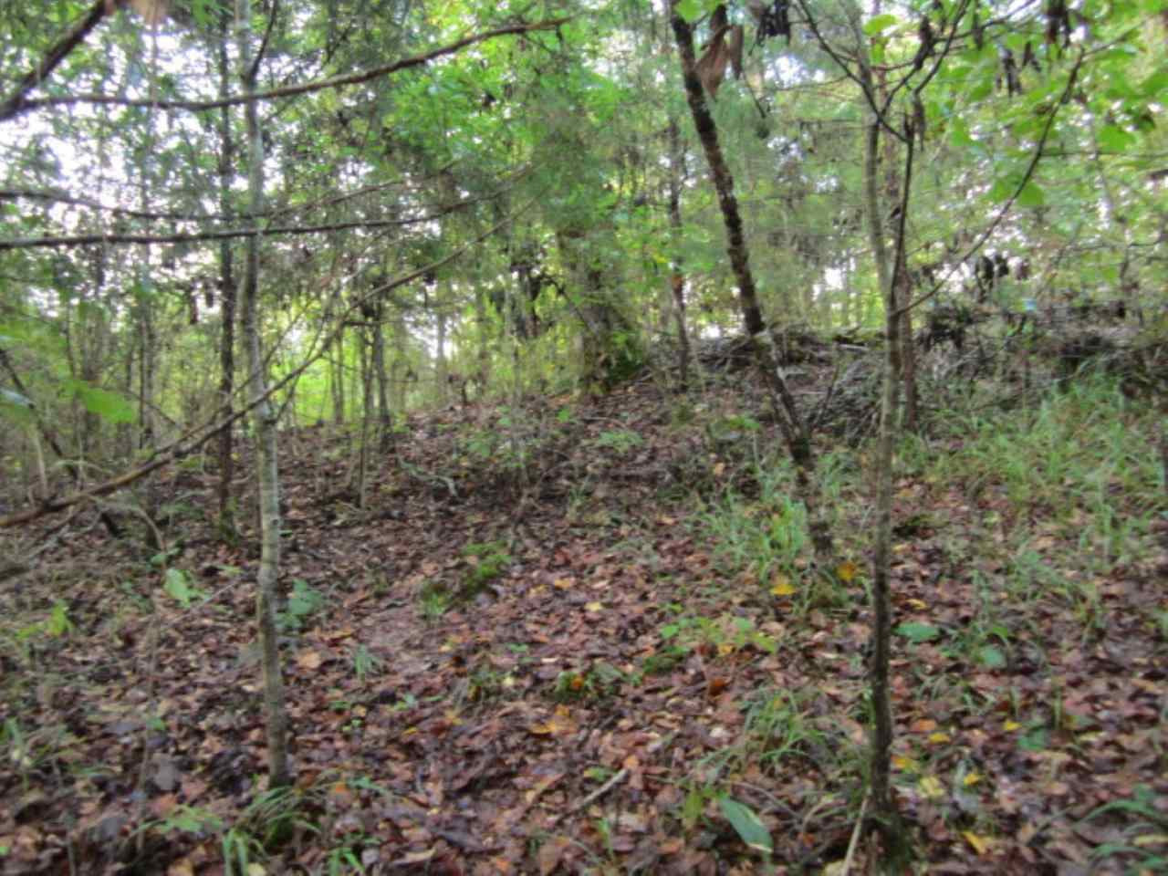 45 M T D Road Nettleton, MS 38858 - Photo 8 of 16 Photo 8