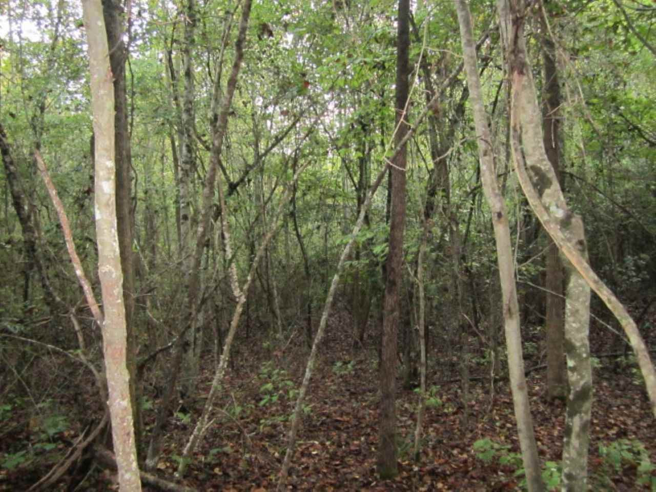 45 M T D Road Nettleton, MS 38858 - Photo 9 of 16 Photo 9