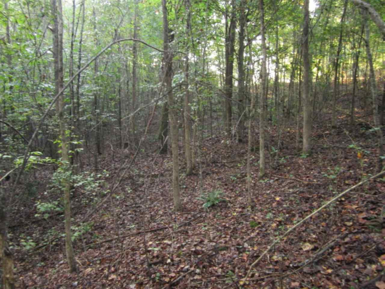 45 M T D Road Nettleton, MS 38858 - Photo 10 of 16 Photo 10