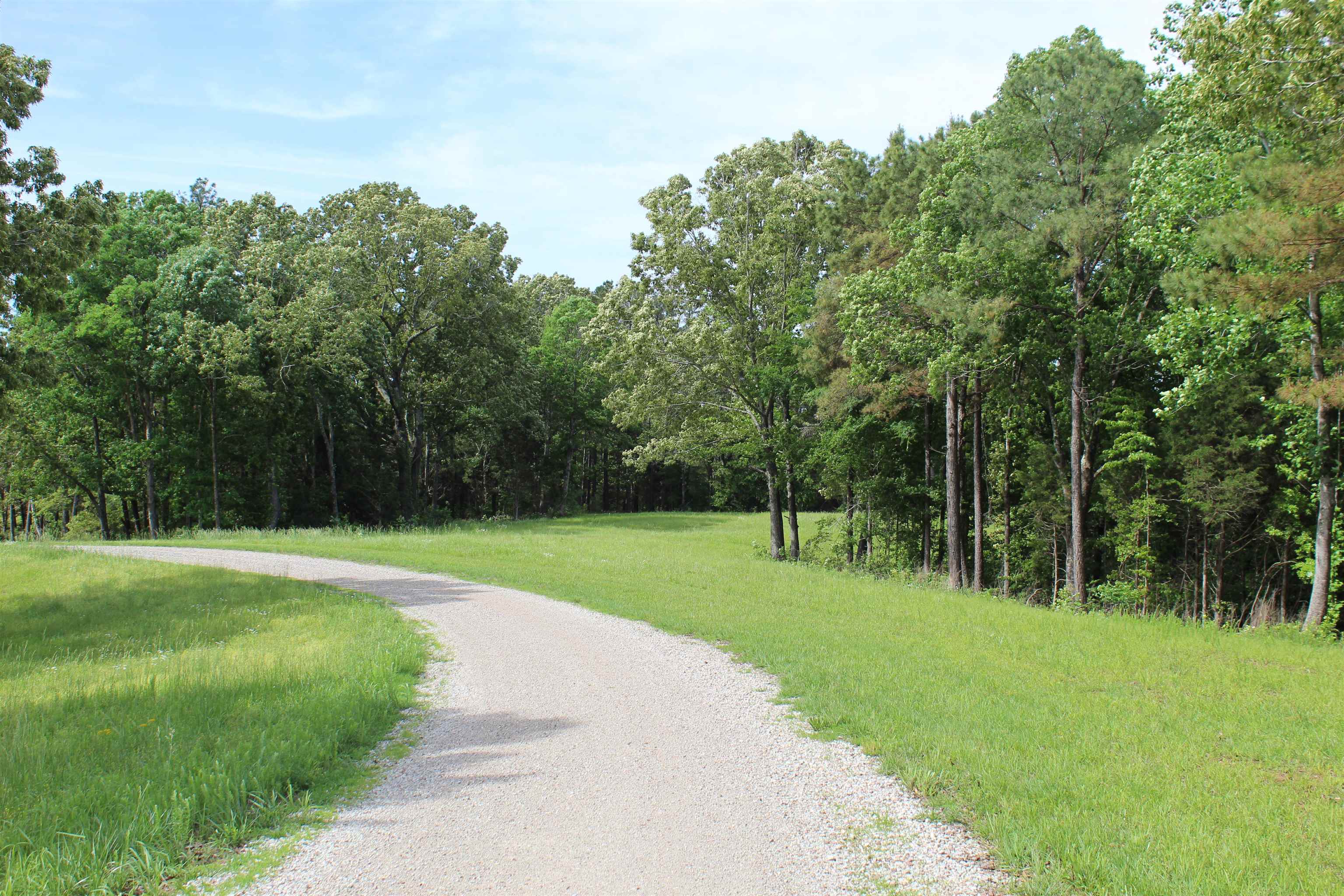 3360 Ebenezer Road Toone, TN 38381 - Photo 19 of 40