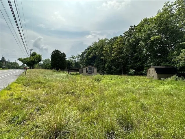 a view of a garden with plants