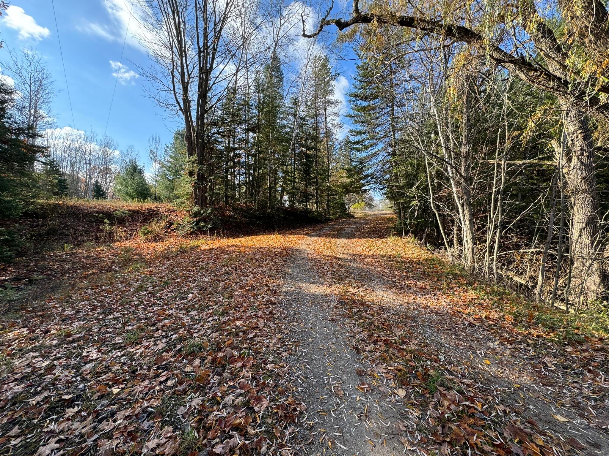 8220 Hubert Road Hubbard Lake, MI 49747 - Photo 12 of 25 Gallery Image 12