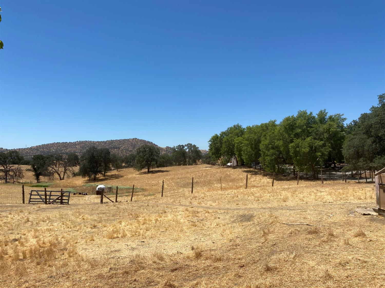 22208 Frontier Road Clovis, CA 93619 - Photo 15 of 23 Gallery Image 15