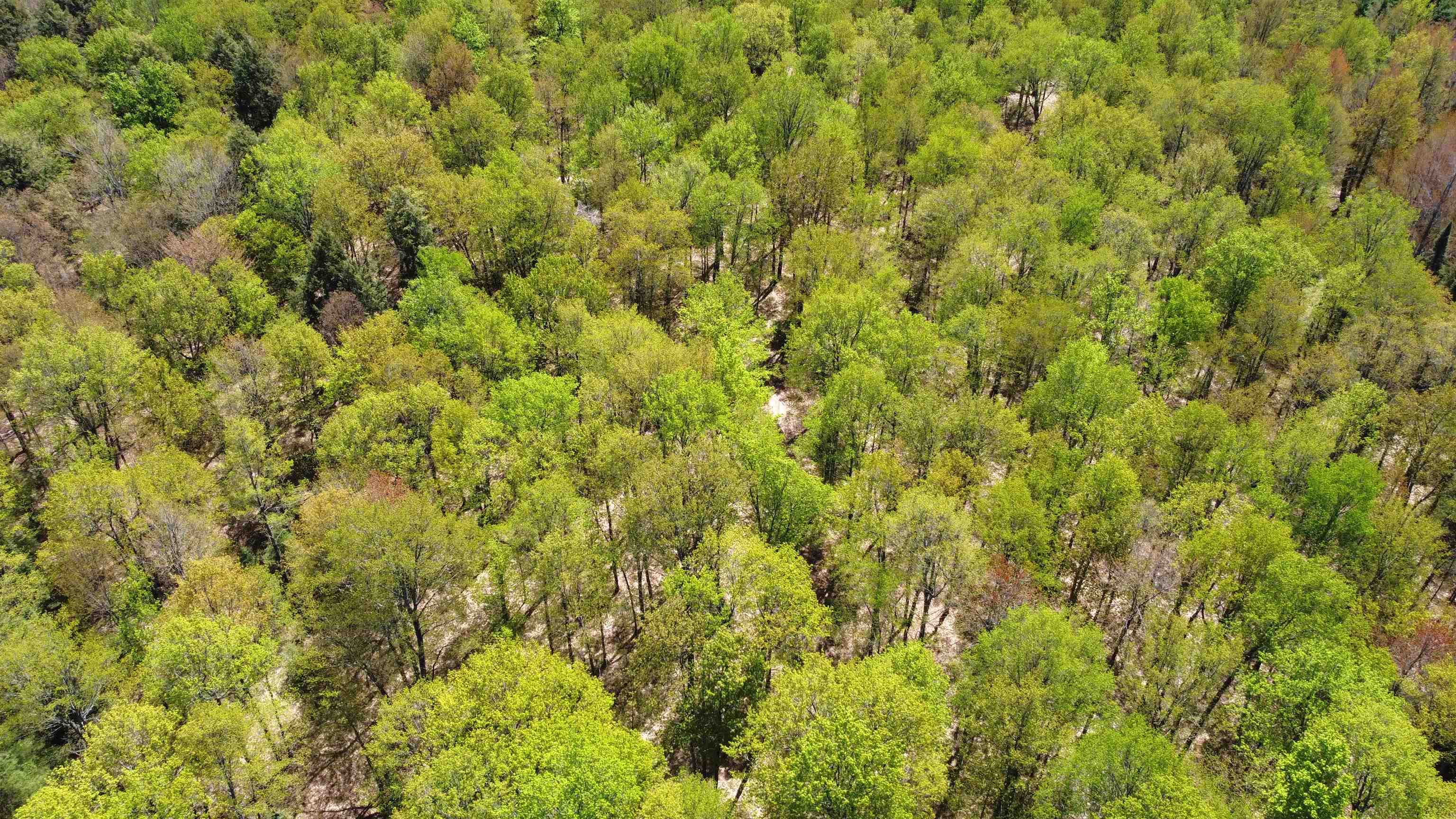 5675 Spider Lake Road Rhinelander, WI 54501 - Photo 68 of 68