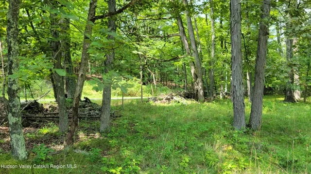 $98,000 | 70-76 Joseph Lane, Earlton, NY 12058