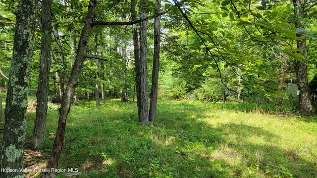 $98,000 | 70-76 Joseph Lane, Earlton, NY 12058