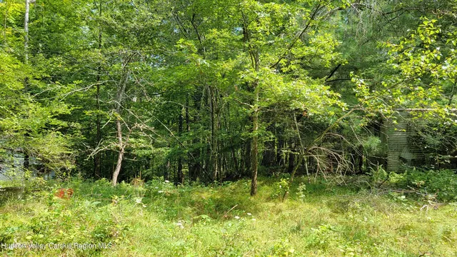 $98,000 | 70-76 Joseph Lane, Earlton, NY 12058