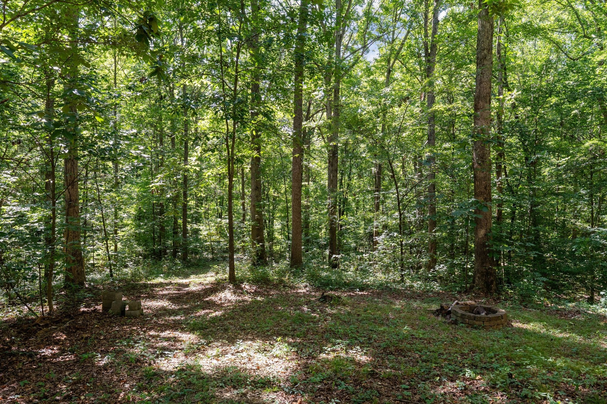2504 Bearwallow Road Ashland City, TN 37015 - Photo 43 of 48 a view of outdoor space and green space