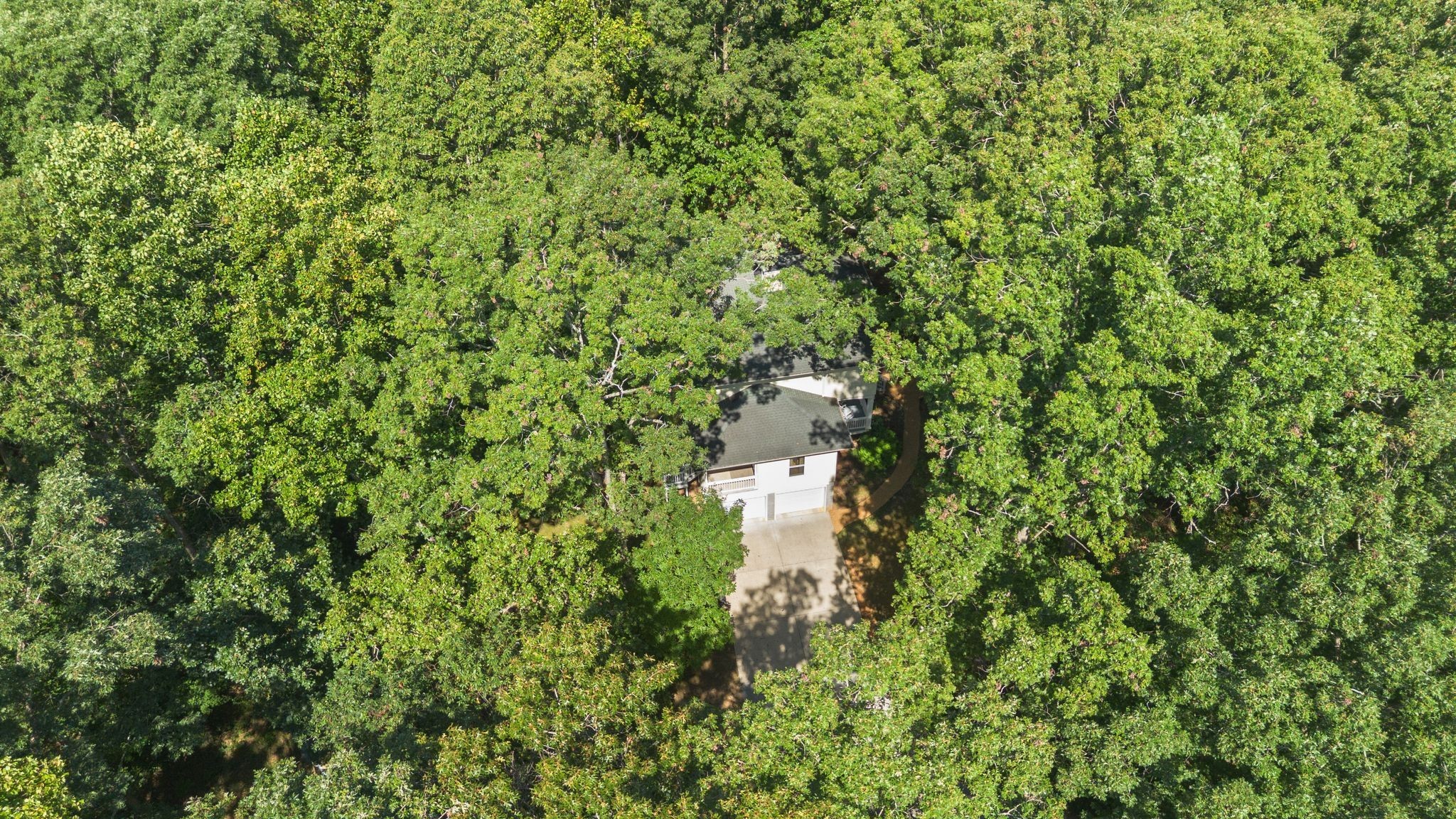 2504 Bearwallow Road Ashland City, TN 37015 - Photo 45 of 48 a close up of a tree in a yard
