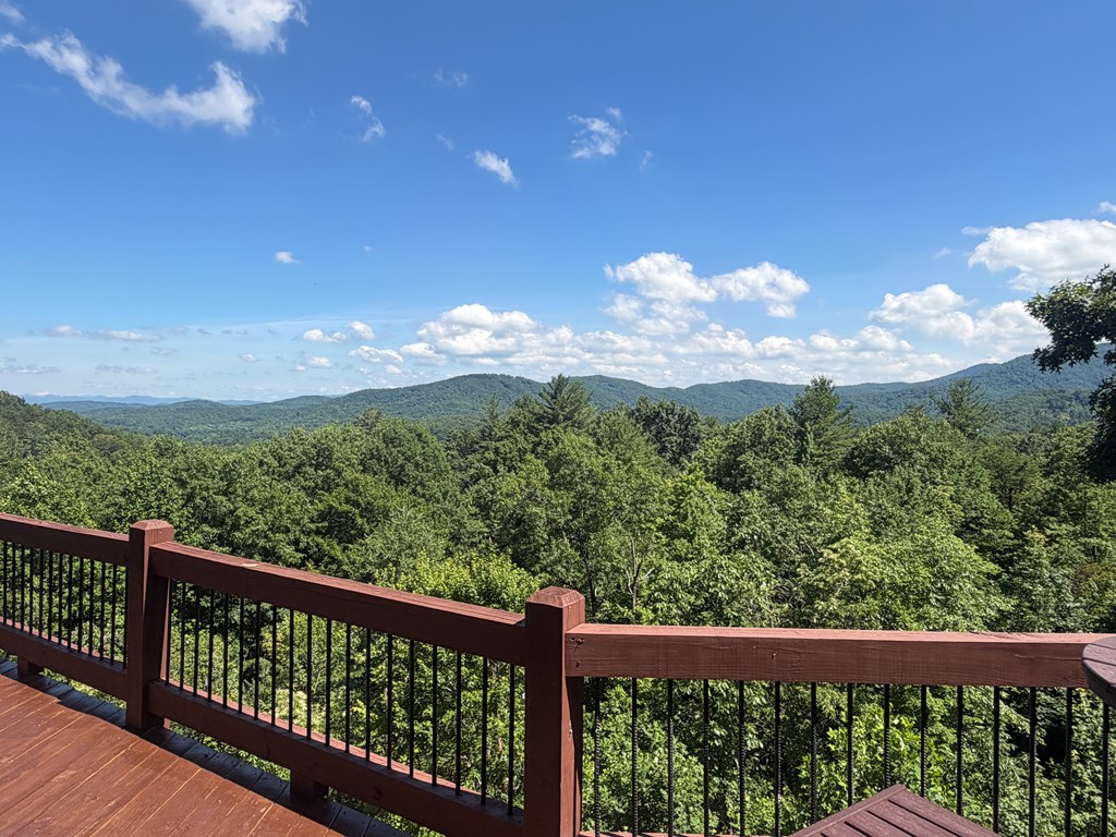 81 Sundance Ridge Epworth, GA 30541 - Photo 17 of 102 View from Main Porch