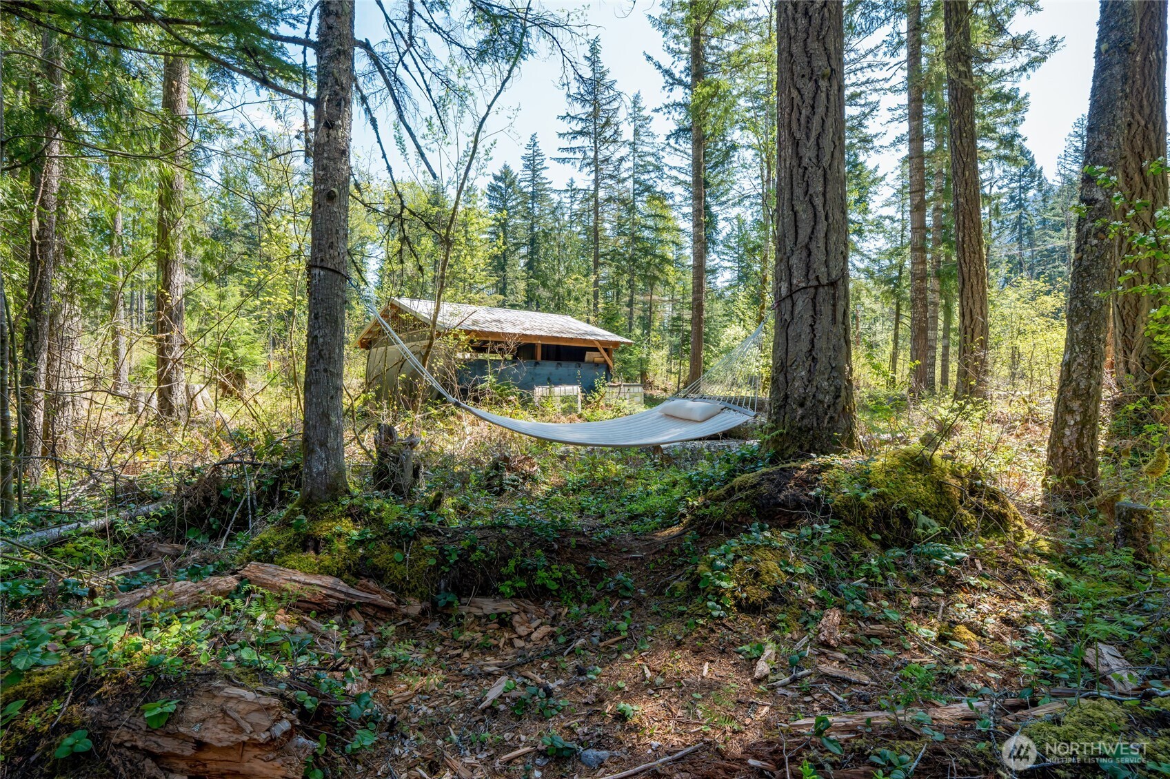 271 Skate Creek Road North Ashford, WA 98304 - Photo 32 of 40 a view of outdoor space and garden