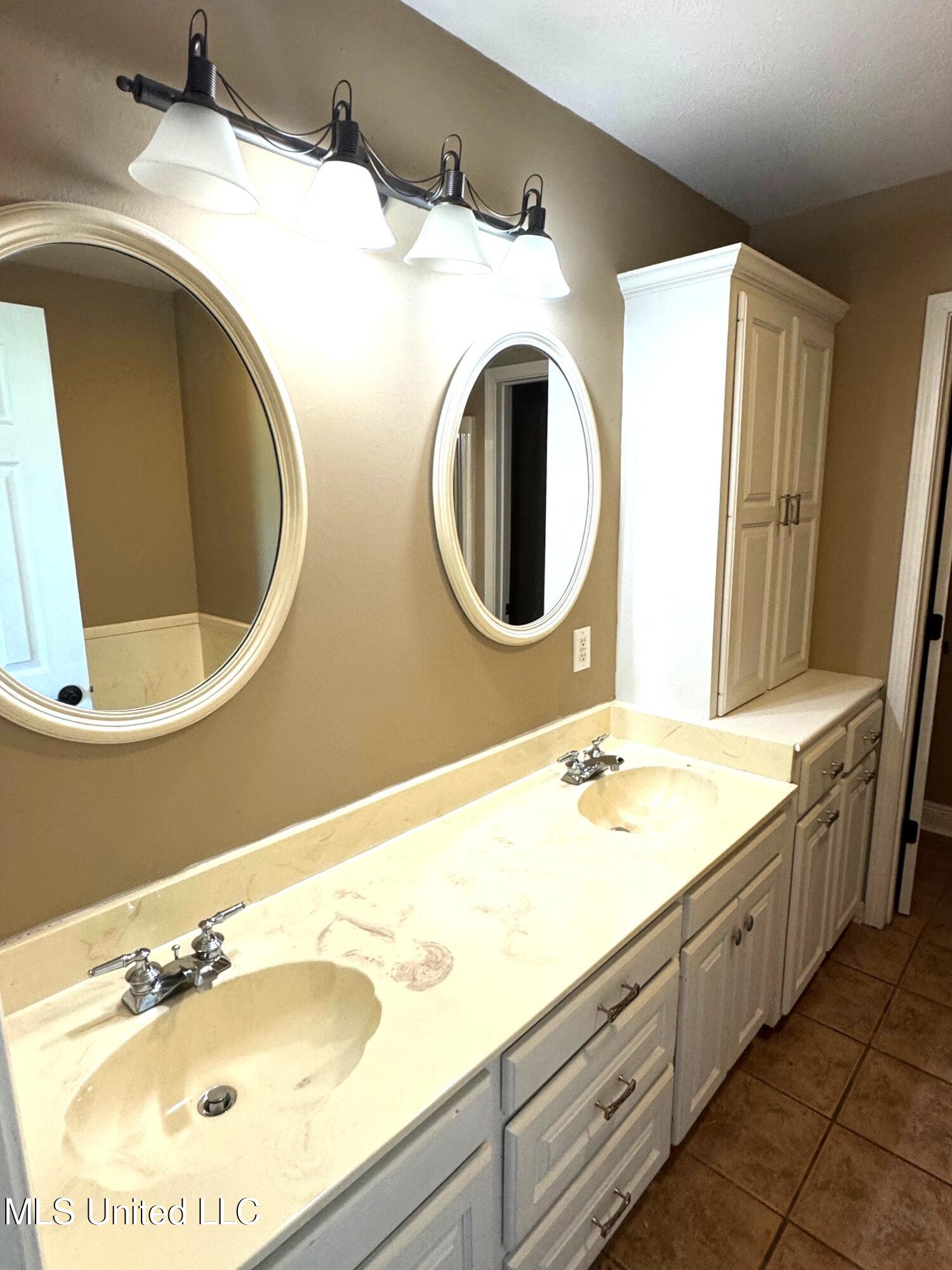 1017 Hidden Meadow Lane Summit, MS 39666 - Photo 11 of 17 1017 - Master vanity