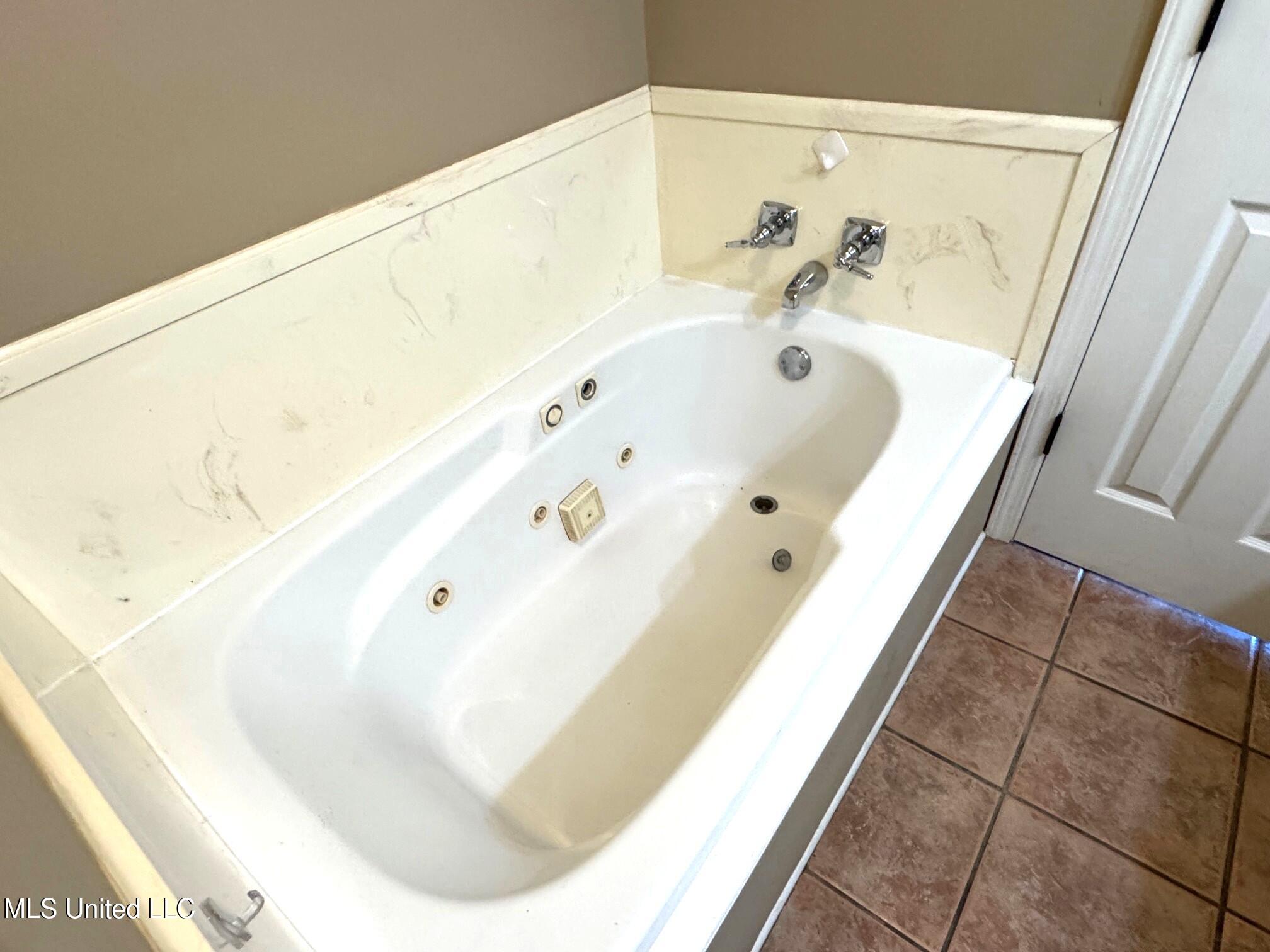 1017 Hidden Meadow Lane Summit, MS 39666 - Photo 12 of 17 1017 - Master tub