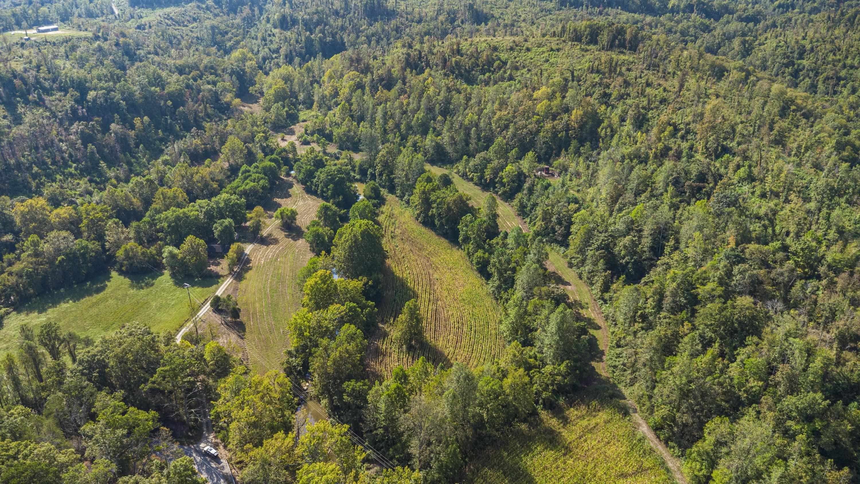 0 Tate Hollow Road Louisa, KY 41230 - Photo 29 of 50