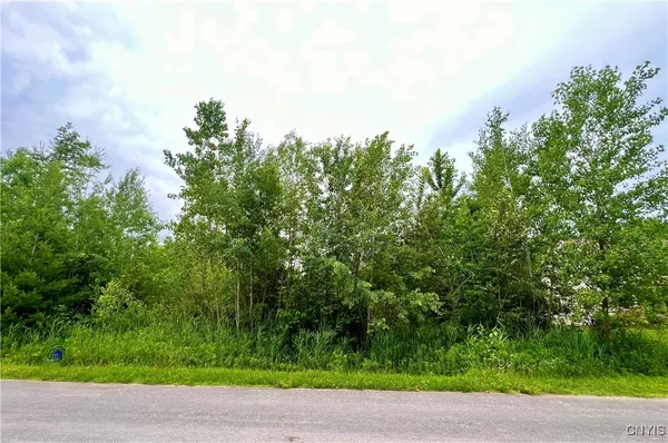 $52,300 | Lot 21 Forest Ridge Drive, Rome, NY 13440