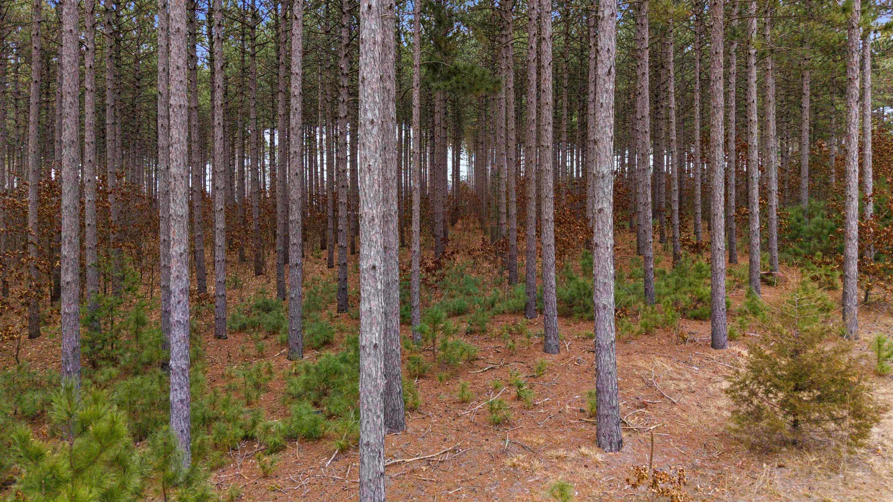 Lot 49 Longview Nekoosa, WI 54457 - Photo 10 of 10