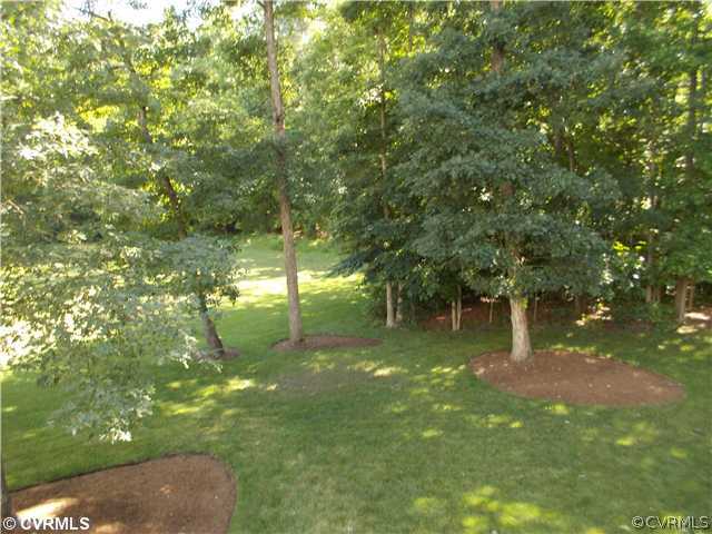 1920 Corner Rock Road Midlothian, VA 23113 - Photo 22 of 23 a backyard of a house with lots of green space