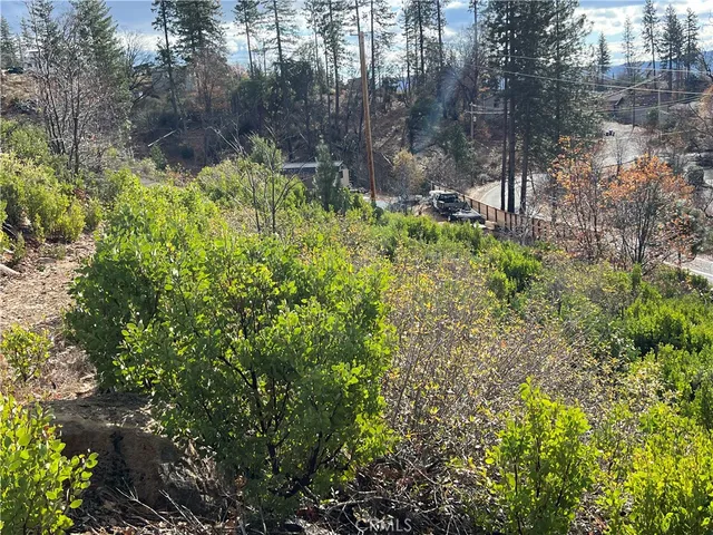 a view of a garden with plants