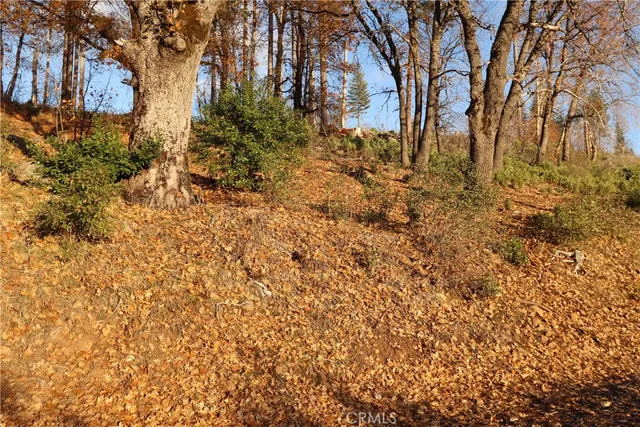 a view of backyard of house with green space