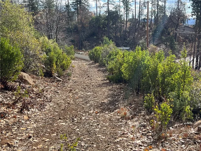 a big yard with lots of green space and fog