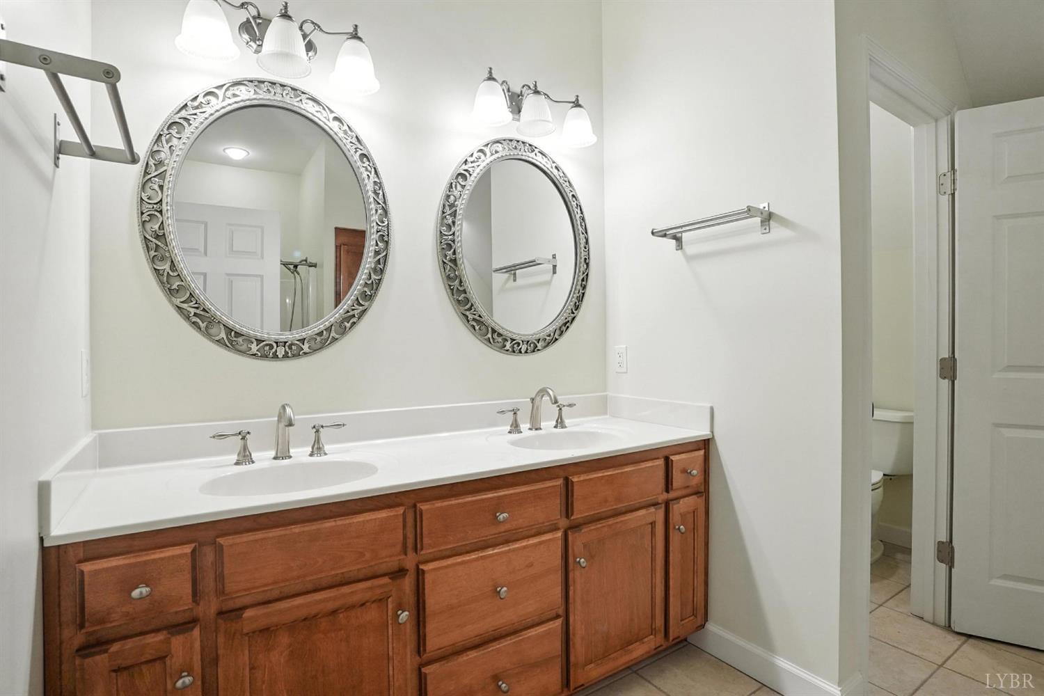 1433 Piney Mountain Road Appomattox, VA 24522 - Photo 42 of 68 a bathroom with a sink and a mirror